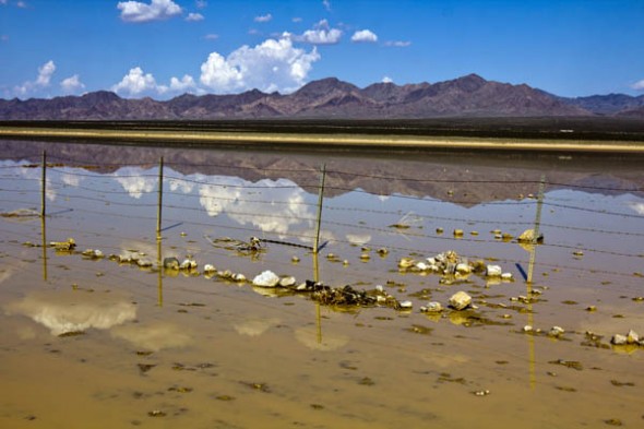 Ivanpah......'wet' lakebed